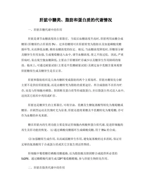 肝脏中糖类、脂肪和蛋白质的代谢情况