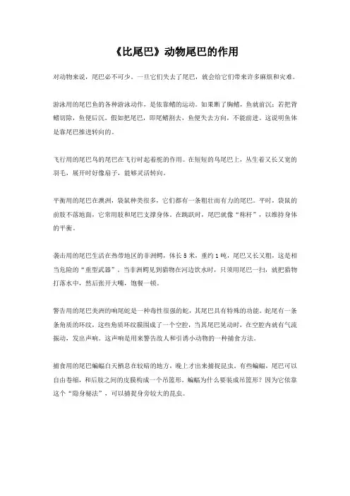 《比尾巴》动物尾巴的作用