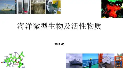 海洋微型生物世界—多样性和生态功能