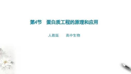 高中生物选择性必修三  第4节  蛋白质工程的原理和应用