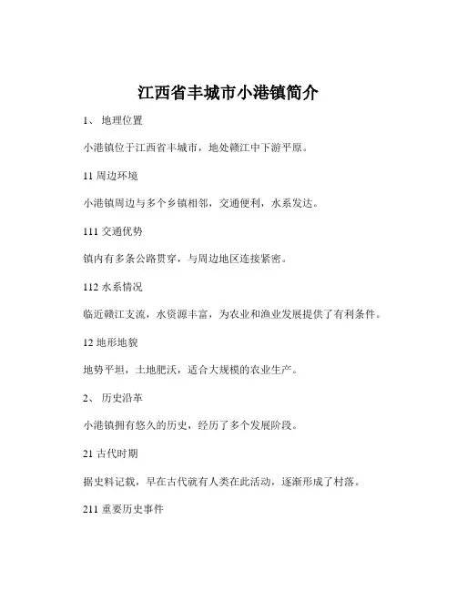 江西省丰城市小港镇简介