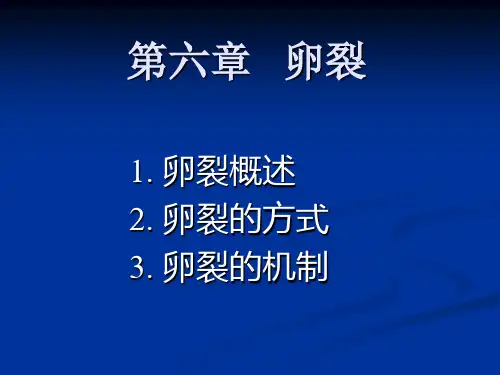 发育生物学第六章 卵裂