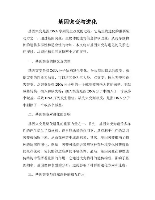 基因突变与进化