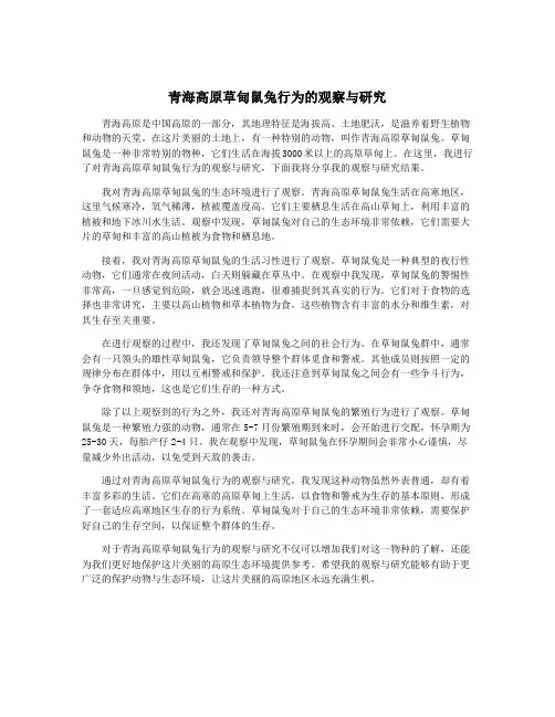 青海高原草甸鼠兔行为的观察与研究