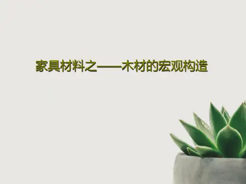 家具材料之——木材的宏观构造共89页文档
