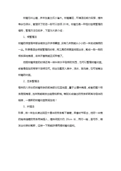 树梅的繁植方法