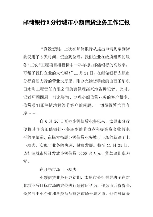 邮储银行X分行城市小额信贷业务工作汇报