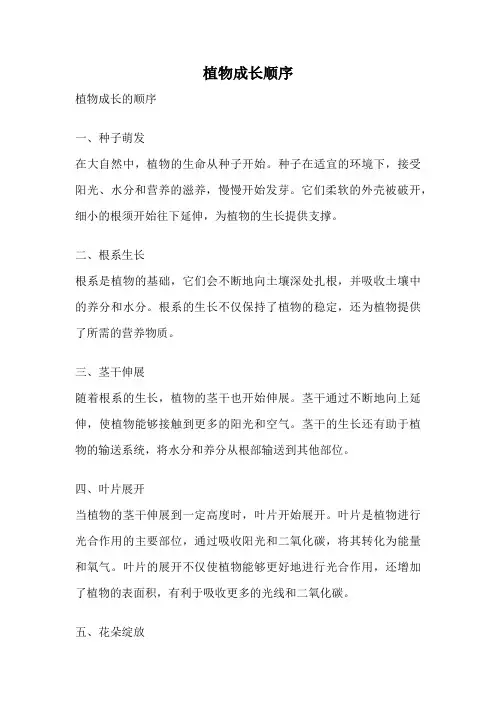 植物成长顺序