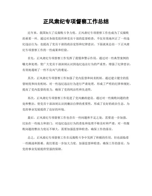 正风肃纪专项督察工作总结