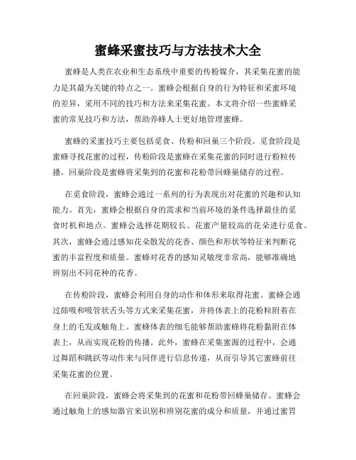蜜蜂采蜜技巧与方法技术大全
