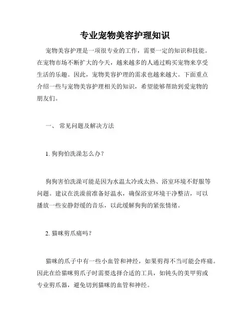 专业宠物美容护理知识