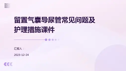 留置气囊导尿管常见问题及护理措施课件