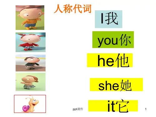 小学英语--人称代词--ppt课件