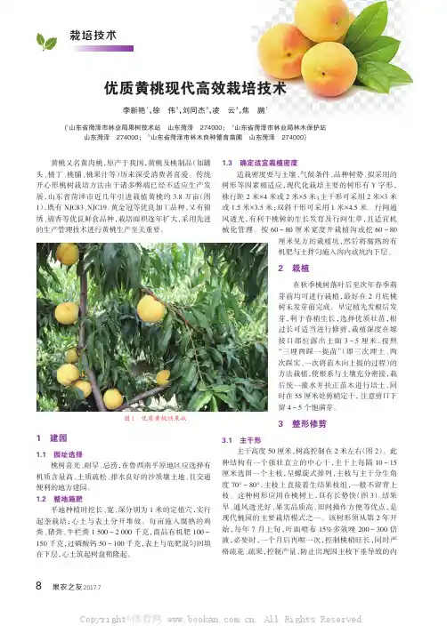 优质黄桃现代高效栽培技术