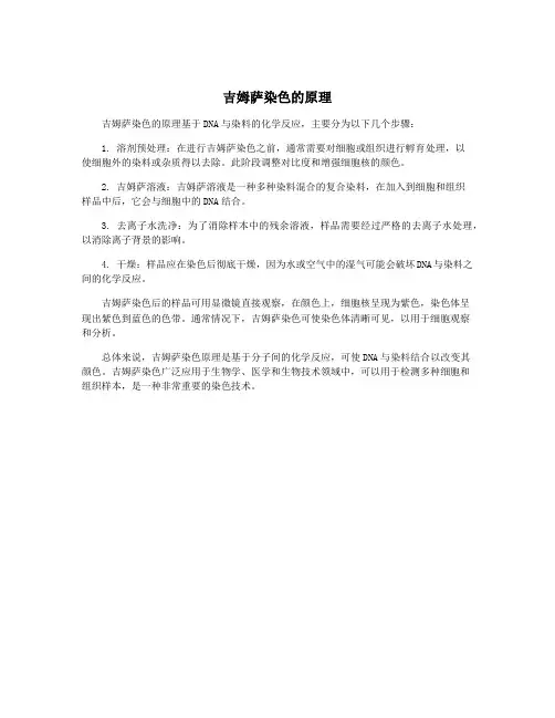 吉姆萨染色的原理