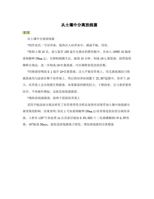 从土壤中分离放线菌