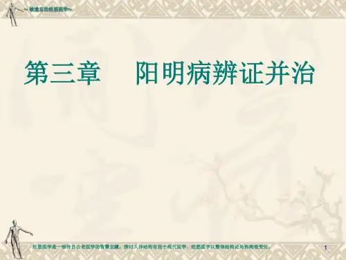 第0章阳明病辨证并治课件-文档资料