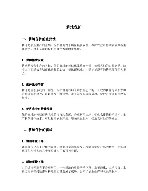 耕地保护 发言