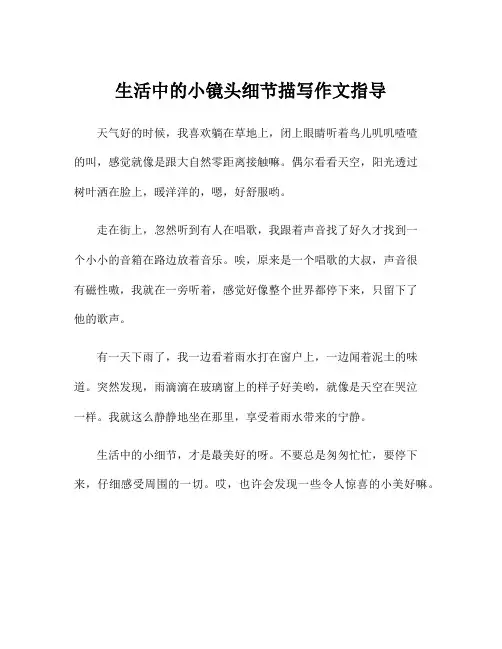 生活中的小镜头细节描写作文指导