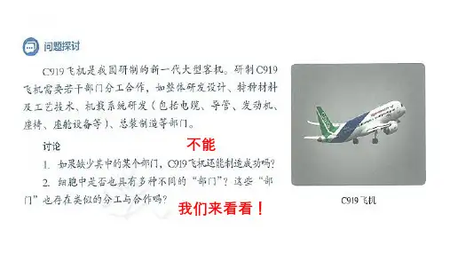 细胞器之间的分工合作ppt课件