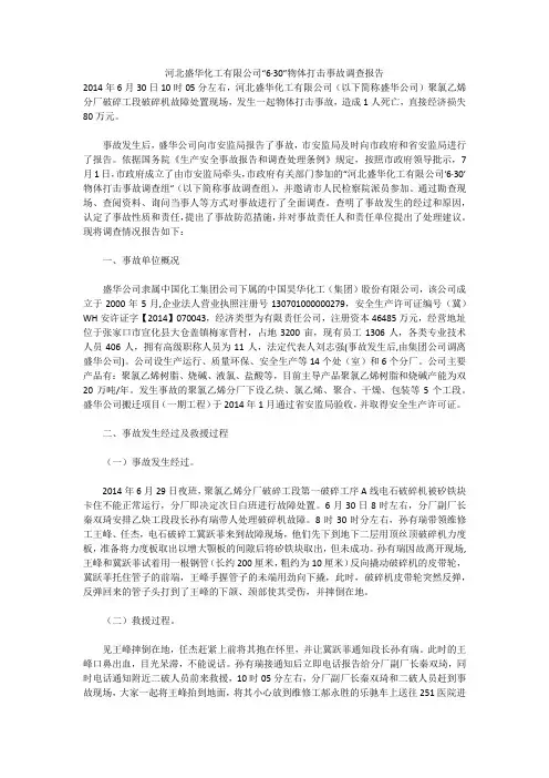 河北盛华化工有限公司“6·30”物体打击事故调查报告