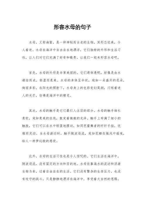 形容水母的句子