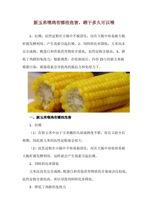 新玉米喂鸡有哪些危害,晒干多久可以喂