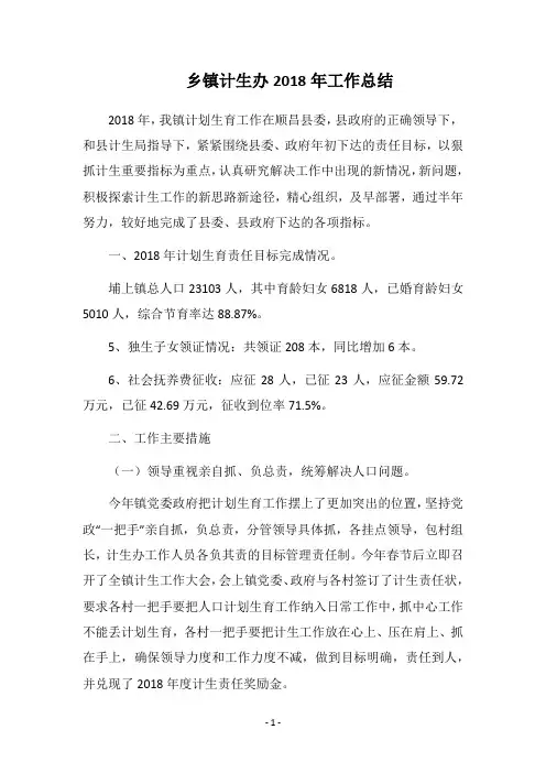 乡镇计生办2018年工作总结
