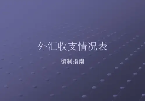 外汇收支情况表精品PPT课件