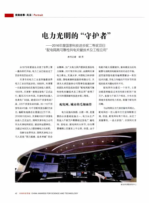 电力光明的“守护者”——2016年度国家科技进步奖二等奖项目“配