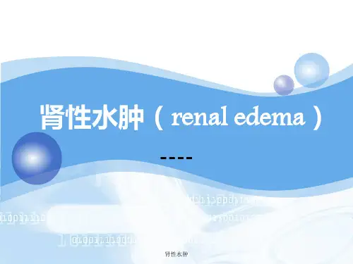 肾性水肿 ppt课件