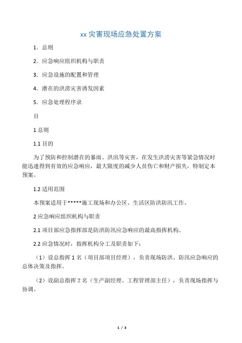 洪水灾害现场应急处置方案