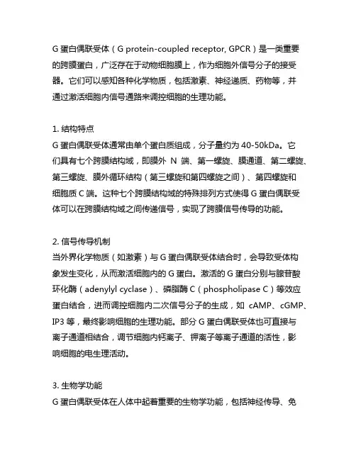 g蛋白偶联受体名词解释生物化学