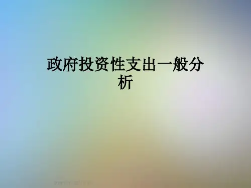 政府投资性支出一般分析
