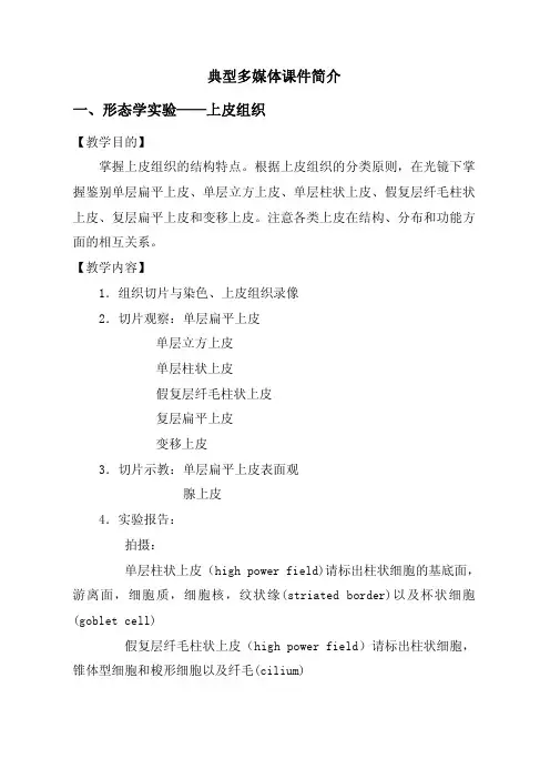 实验三上皮组织(3学时)