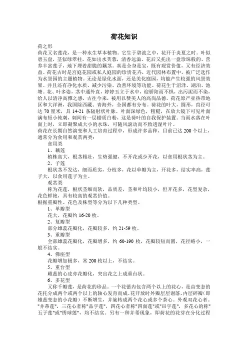 荷花知识
