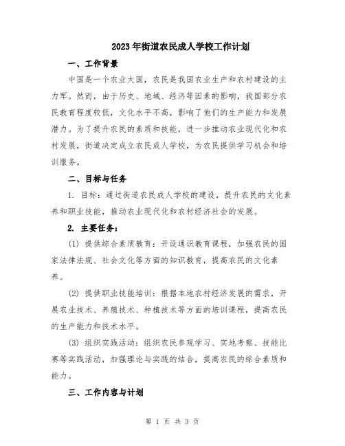 2023年街道农民成人学校工作计划