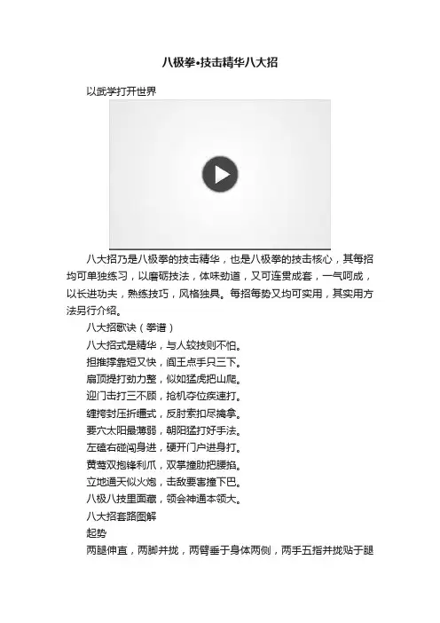 八极拳·技击精华八大招