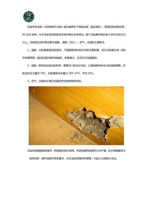 白蚁(白蚂蚁)