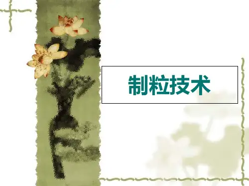 制粒技术详述