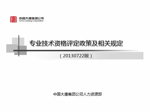 大唐集团2013年专业技术资格评定相关规定(最新版)