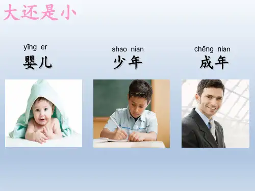 部编版《大还是小》部编版.PPT