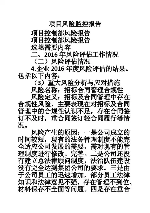 项目风险监控报告