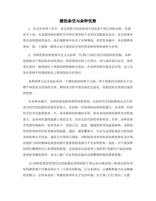 猪的杂交与杂种优势