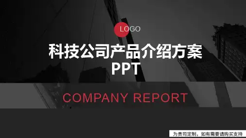 科技公司产品介绍方案PPT