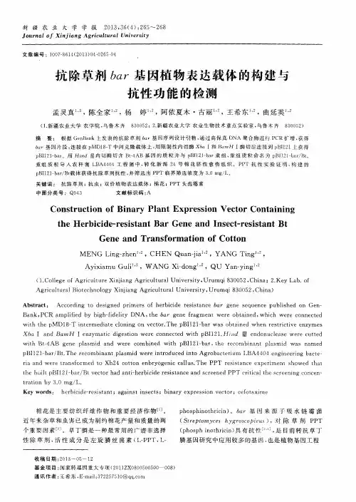 抗除草剂bar基因植物表达载体的构建与抗性功能的检测