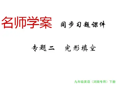 人教版九年级英语全册(河南专版)习题课件：专题二(共40张PPT)