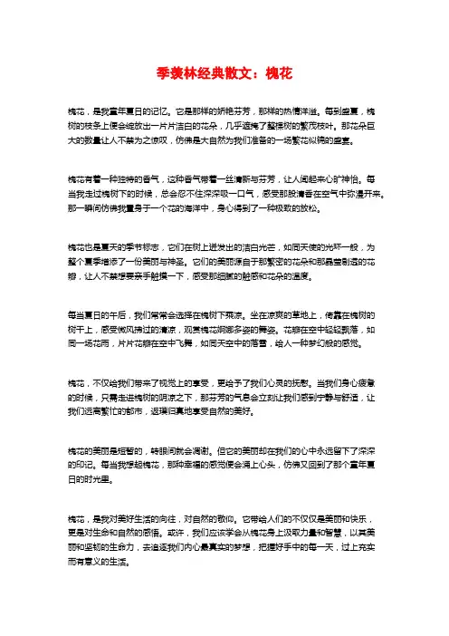 季羡林经典散文：槐花