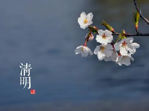 在农历的天空下：二十四节气之清明PPT课件