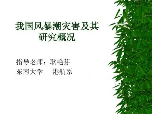 风暴潮
